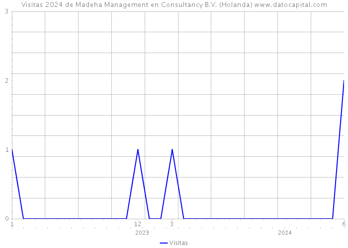 Visitas 2024 de Madeha Management en Consultancy B.V. (Holanda) 