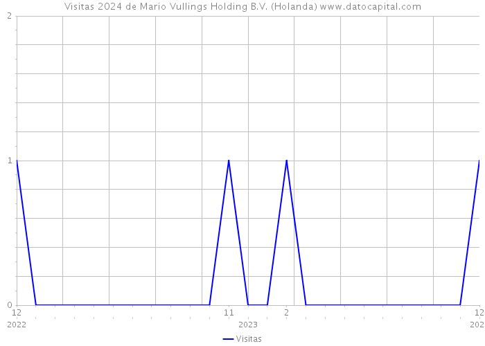 Visitas 2024 de Mario Vullings Holding B.V. (Holanda) 