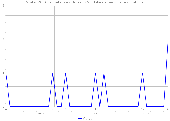 Visitas 2024 de Haike Spek Beheer B.V. (Holanda) 