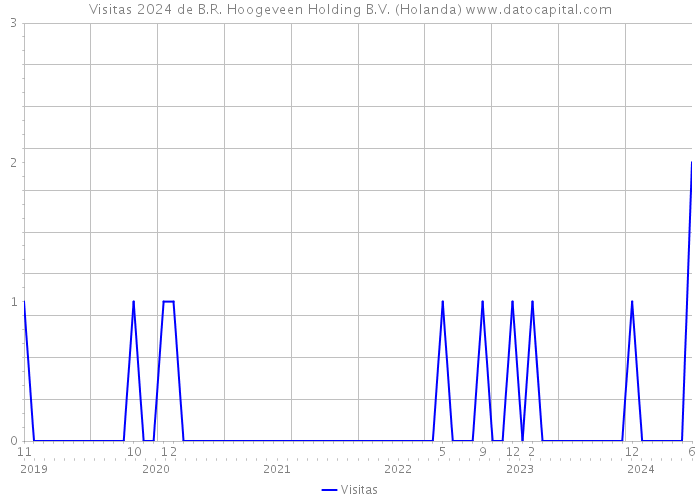 Visitas 2024 de B.R. Hoogeveen Holding B.V. (Holanda) 