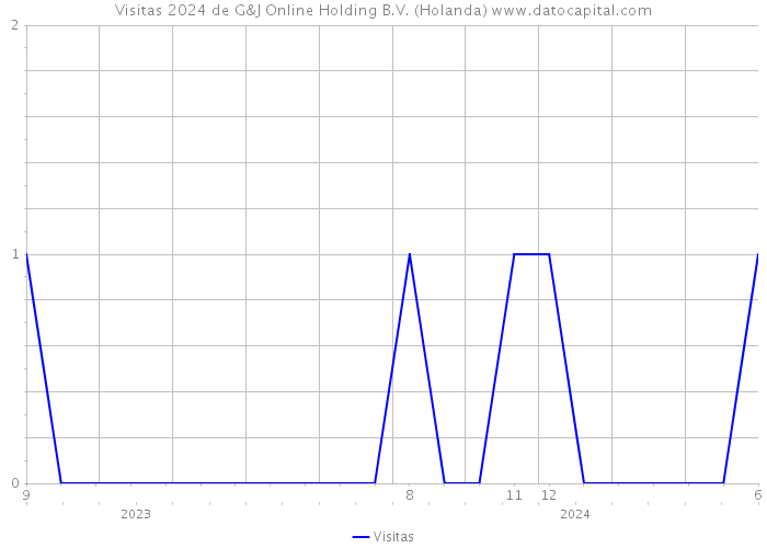 Visitas 2024 de G&J Online Holding B.V. (Holanda) 