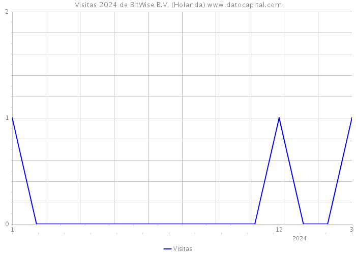 Visitas 2024 de BitWise B.V. (Holanda) 