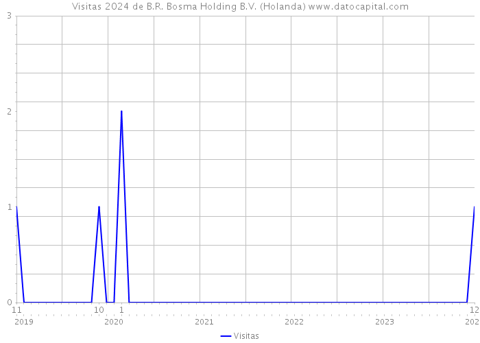 Visitas 2024 de B.R. Bosma Holding B.V. (Holanda) 