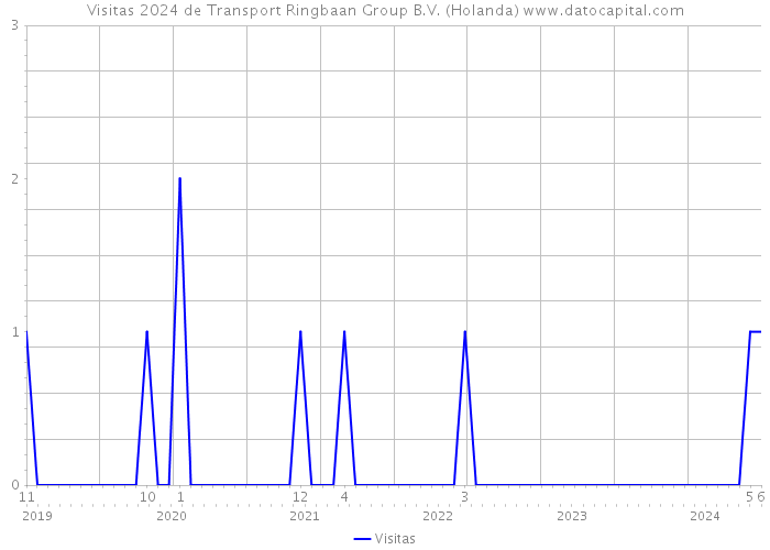Visitas 2024 de Transport Ringbaan Group B.V. (Holanda) 