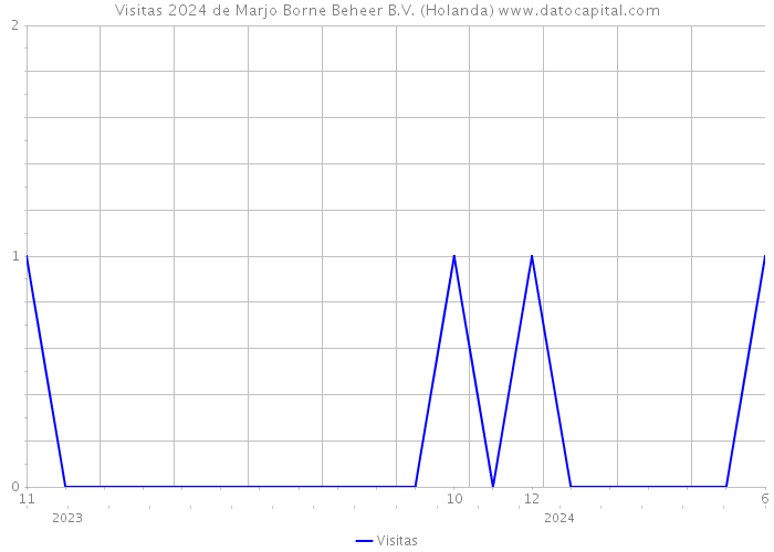 Visitas 2024 de Marjo Borne Beheer B.V. (Holanda) 