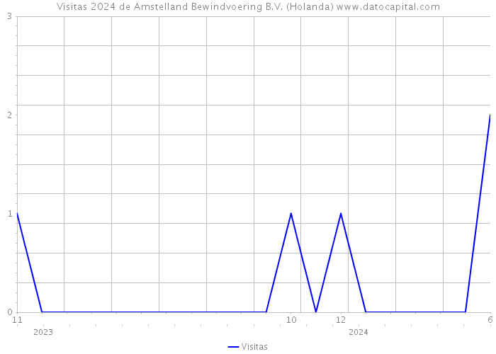Visitas 2024 de Amstelland Bewindvoering B.V. (Holanda) 