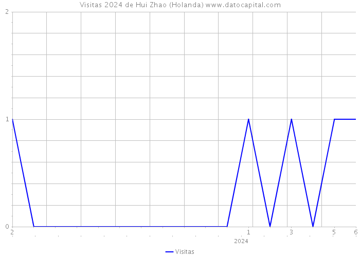 Visitas 2024 de Hui Zhao (Holanda) 