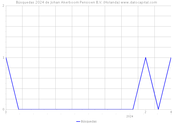 Búsquedas 2024 de Johan Akerboom Pensioen B.V. (Holanda) 