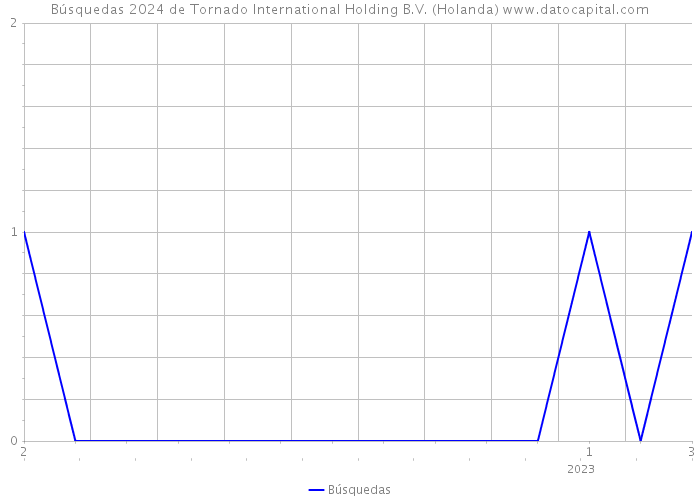 Búsquedas 2024 de Tornado International Holding B.V. (Holanda) 