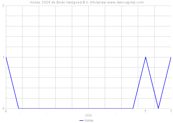 Visitas 2024 de Ende Vastgoed B.V. (Holanda) 