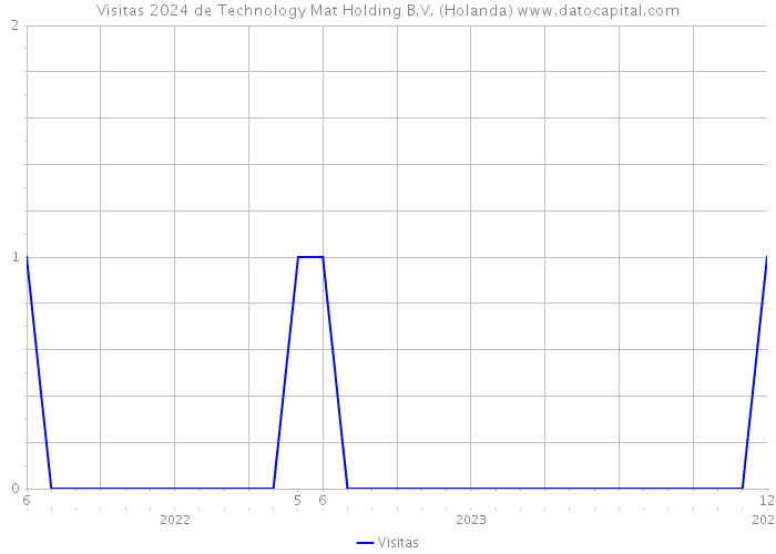 Visitas 2024 de Technology Mat Holding B.V. (Holanda) 