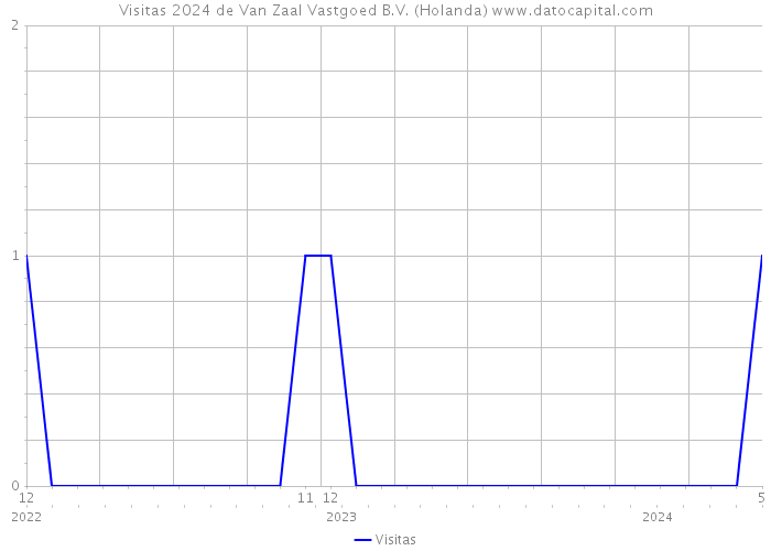 Visitas 2024 de Van Zaal Vastgoed B.V. (Holanda) 