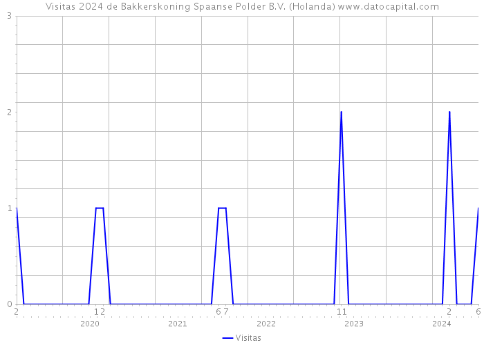 Visitas 2024 de Bakkerskoning Spaanse Polder B.V. (Holanda) 