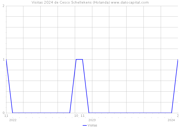 Visitas 2024 de Cesco Schellekens (Holanda) 