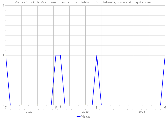 Visitas 2024 de Vastbouw International Holding B.V. (Holanda) 