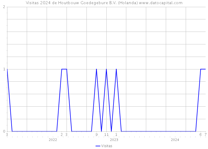 Visitas 2024 de Houtbouw Goedegebure B.V. (Holanda) 