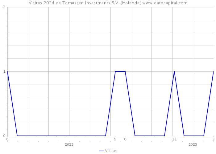 Visitas 2024 de Tomassen Investments B.V. (Holanda) 