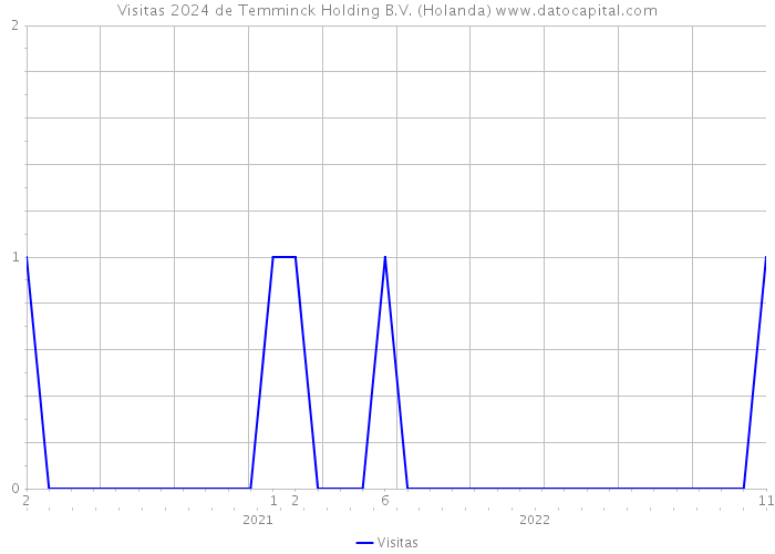 Visitas 2024 de Temminck Holding B.V. (Holanda) 
