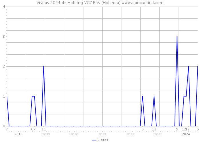 Visitas 2024 de Holding VGZ B.V. (Holanda) 