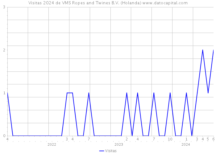Visitas 2024 de VMS Ropes and Twines B.V. (Holanda) 