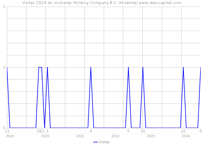 Visitas 2024 de Voskamp Holding Company B.V. (Holanda) 