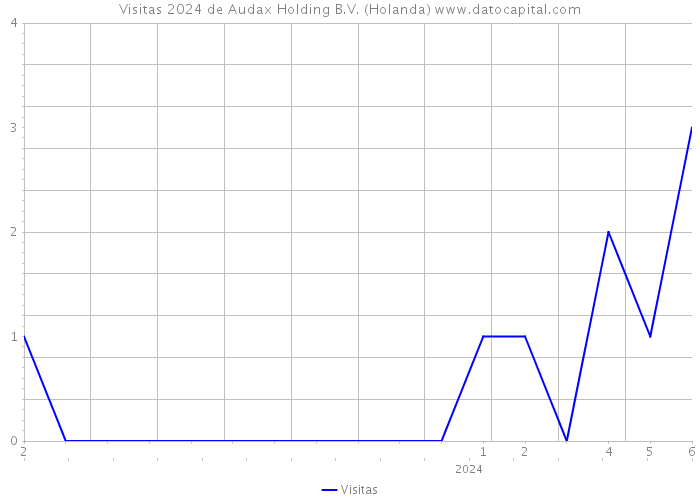 Visitas 2024 de Audax Holding B.V. (Holanda) 