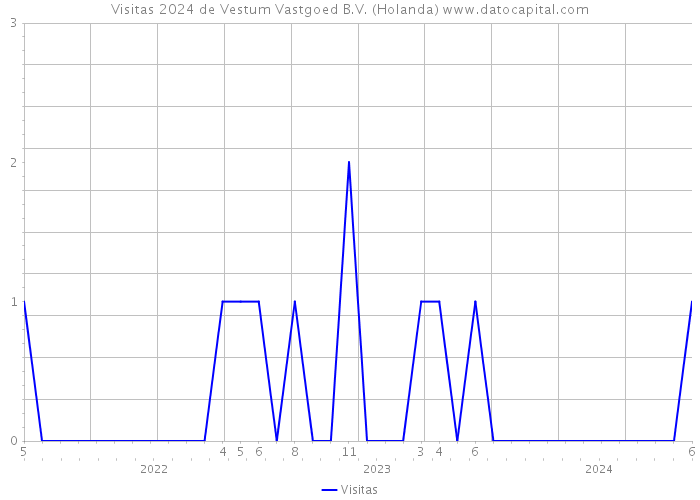 Visitas 2024 de Vestum Vastgoed B.V. (Holanda) 