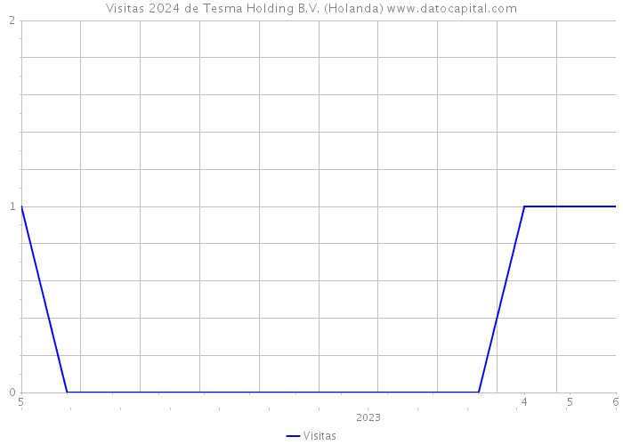 Visitas 2024 de Tesma Holding B.V. (Holanda) 