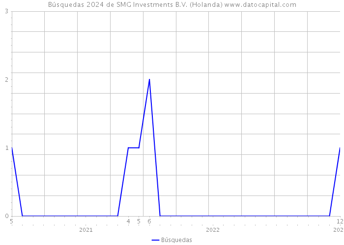 Búsquedas 2024 de SMG Investments B.V. (Holanda) 