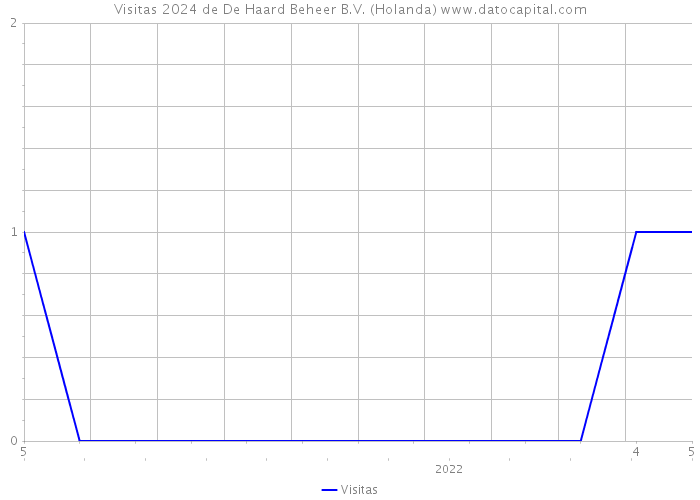 Visitas 2024 de De Haard Beheer B.V. (Holanda) 