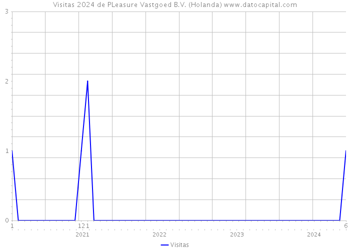 Visitas 2024 de PLeasure Vastgoed B.V. (Holanda) 