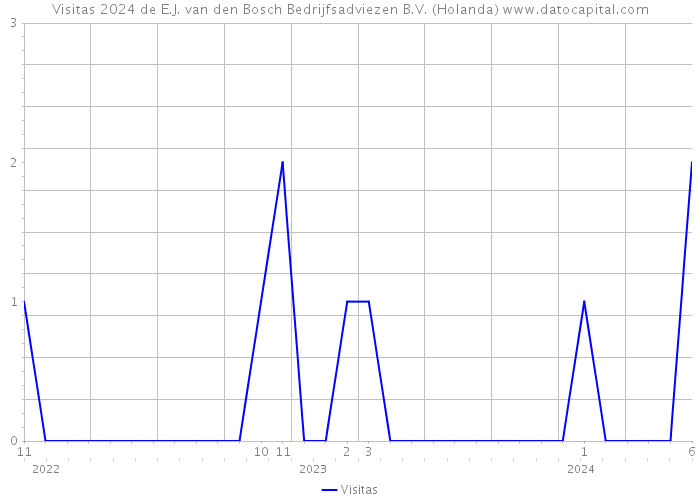 Visitas 2024 de E.J. van den Bosch Bedrijfsadviezen B.V. (Holanda) 