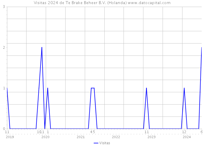 Visitas 2024 de Te Brake Beheer B.V. (Holanda) 