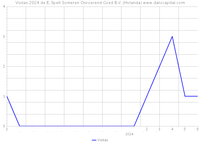 Visitas 2024 de E. Spelt Someren Onroerend Goed B.V. (Holanda) 