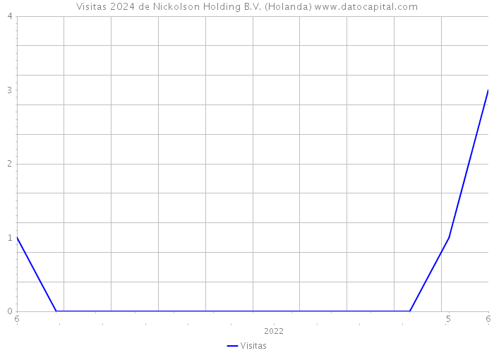 Visitas 2024 de Nickolson Holding B.V. (Holanda) 
