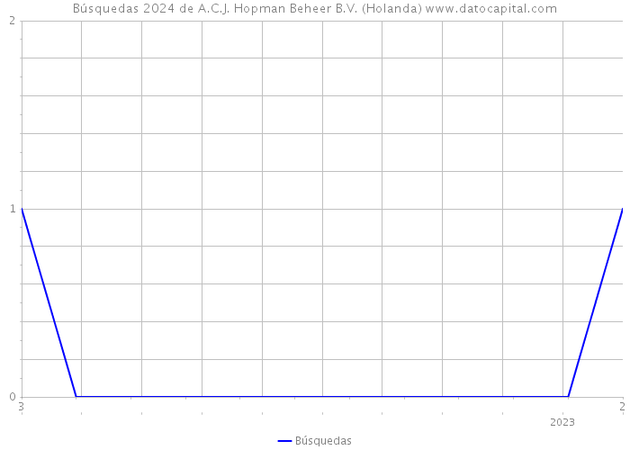 Búsquedas 2024 de A.C.J. Hopman Beheer B.V. (Holanda) 