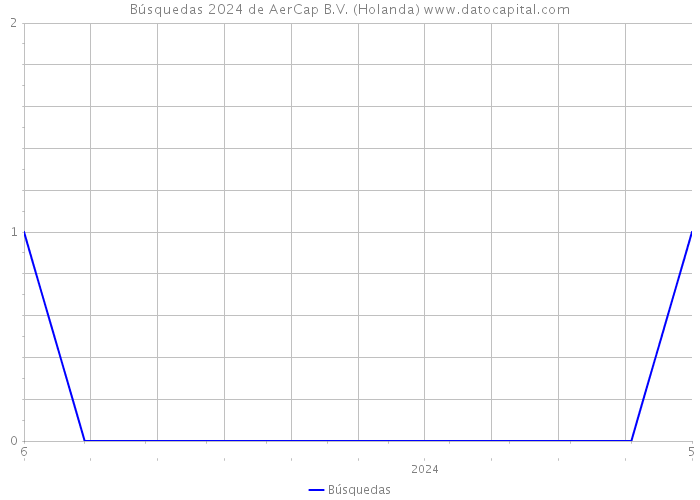 Búsquedas 2024 de AerCap B.V. (Holanda) 