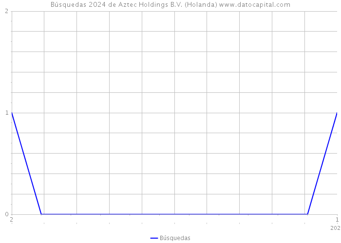 Búsquedas 2024 de Aztec Holdings B.V. (Holanda) 