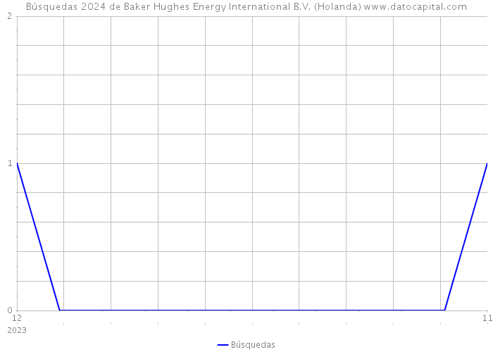 Búsquedas 2024 de Baker Hughes Energy International B.V. (Holanda) 