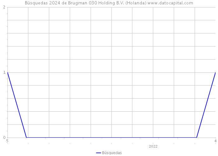 Búsquedas 2024 de Brugman 030 Holding B.V. (Holanda) 