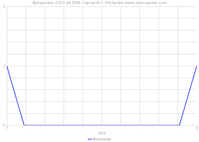 Búsquedas 2024 de DNA Capital B.V. (Holanda) 