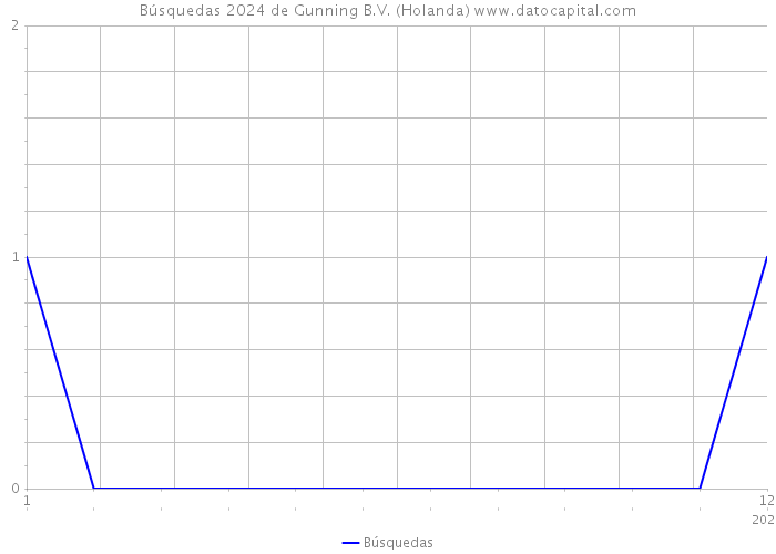 Búsquedas 2024 de Gunning B.V. (Holanda) 