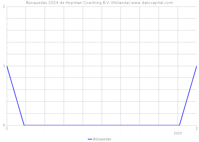 Búsquedas 2024 de Hopman Coaching B.V. (Holanda) 