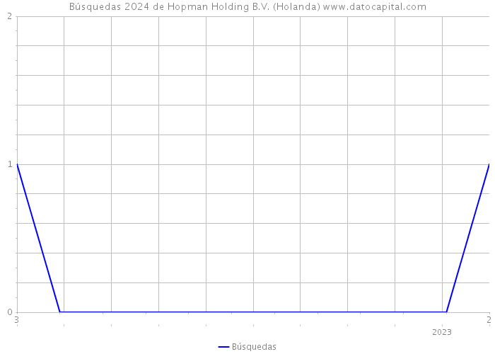 Búsquedas 2024 de Hopman Holding B.V. (Holanda) 
