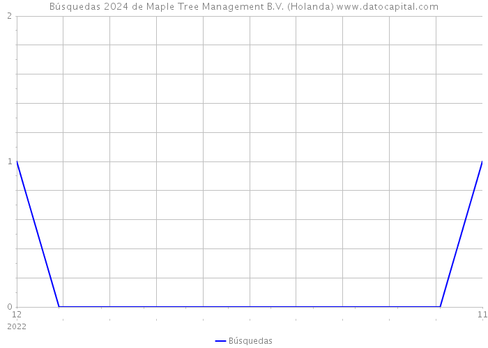 Búsquedas 2024 de Maple Tree Management B.V. (Holanda) 