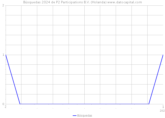 Búsquedas 2024 de P2 Participations B.V. (Holanda) 