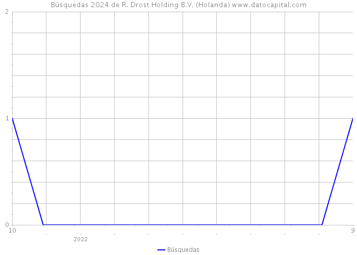 Búsquedas 2024 de R. Drost Holding B.V. (Holanda) 
