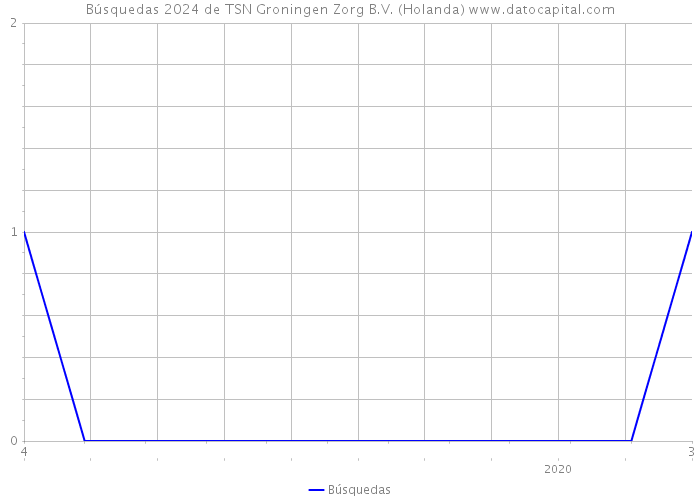Búsquedas 2024 de TSN Groningen Zorg B.V. (Holanda) 