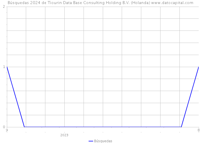 Búsquedas 2024 de Tiourin Data Base Consulting Holding B.V. (Holanda) 