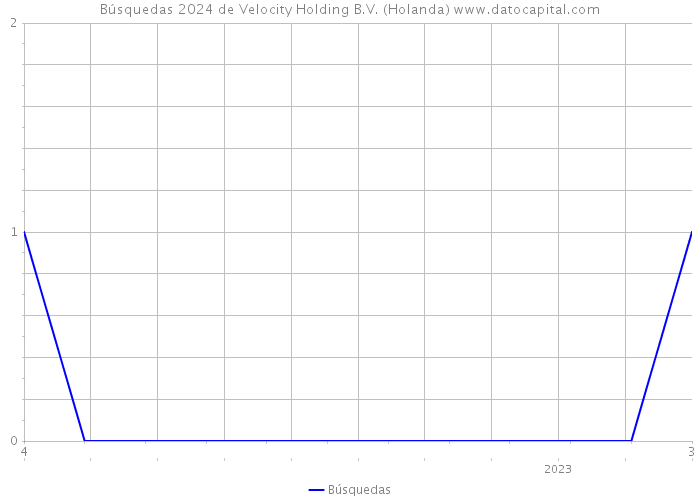 Búsquedas 2024 de Velocity Holding B.V. (Holanda) 